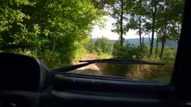 První Osoba Pov Roading Lese — Stock video