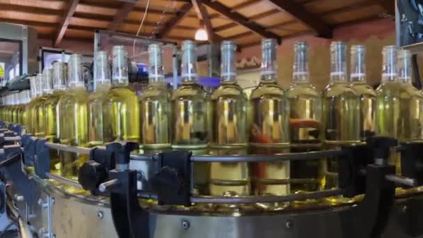 Bodega Gotica Family Business Has Been Producing Grapes Several Generations — Stock Video