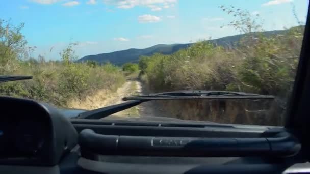 Hands Driving Jeep Meadow Road — Stock Video