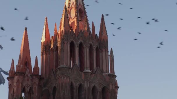 Una Increíble Bandada Aves Volando Alrededor Famosa Iglesia Parroquial San — Vídeos de Stock