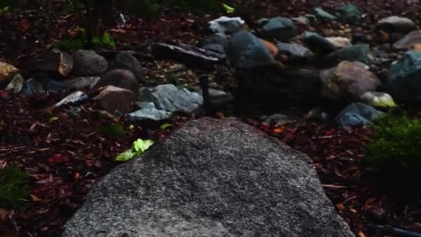 Een Langzame Pan Van Een Vredige Mooie Zen Tuin — Stockvideo