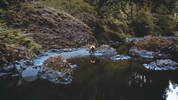 Passar Magnífico Riacho Rochoso Abiqua Falls Scotts Mills Oregon Com — Vídeo de Stock