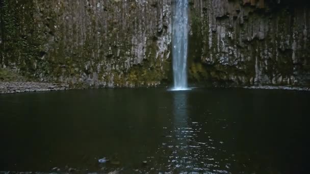 Passar Magnífico Riacho Rochoso Abiqua Falls Scotts Mills Oregon Com — Vídeo de Stock