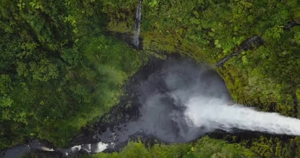 Drone Going Akaka Falls Hawaii Falls 100Ft Deep — Stock Video