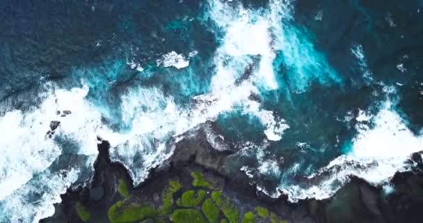 Die Große Insel Hawai Beherbergt Wunderschöne Kontraste Aus Schwarz Grün — Stockvideo