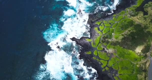 Grande Isola Hawai Ospita Bellissimi Contrasti Nero Verde Blu Tutti — Video Stock