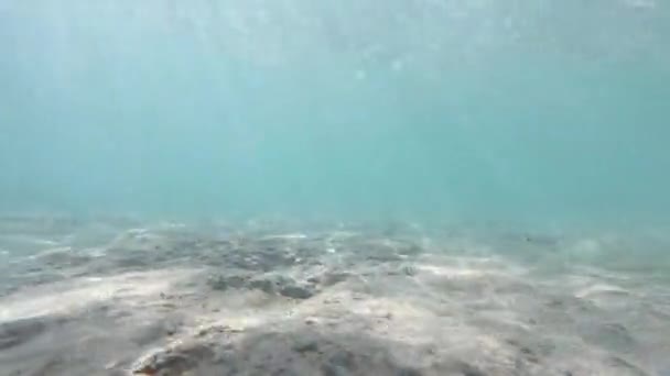 水下和水面上的薄膜 — 图库视频影像