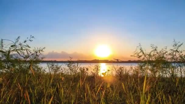 Timelapse Pôr Sol Com Grama Verde Primeiro Plano Vista Rio — Vídeo de Stock