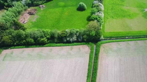 Yeşil Tarlaların Tarlaların Güzel Drone Görüntüleri Güzel Yeşil Ağaçlarla Çevrili — Stok video