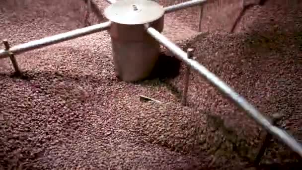 烤特产咖啡豆放在纺丝冷却盘上冷却 — 图库视频影像