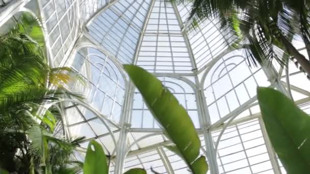 Vista Del Techo Del Invernadero Jardín Botánico Curitiba Sur Brasil — Vídeo de stock