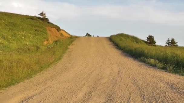 제도의 언덕을 가로지르는 비포장도로가 있습니다 수평선 시골길을 자라는 나무와 — 비디오