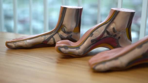 儿科医师办公室里的塑料脚模 — 图库视频影像