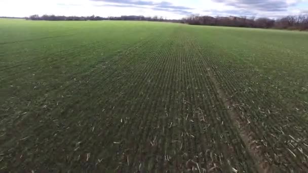 Drone Aéreo Longo Disparou Sobre Grande Campo Inclinado Para Uma — Vídeo de Stock