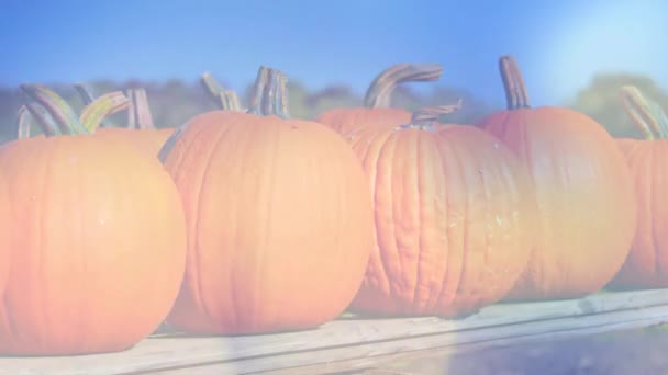 Halloween Rabattverkauf Werbung Herbst Saison Kommerzielle Werbung — Stockvideo