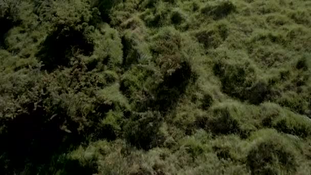 一个锁定无人机镜头 从山顶上的一个绿色小山开始到悬崖边缘 并揭示了它前面的大海 3840 2160像素 — 图库视频影像