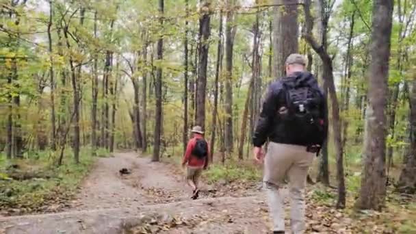 Dos Hombres Caminan Largo Sendero Través Las Montañas Tomando Follaje — Vídeo de stock