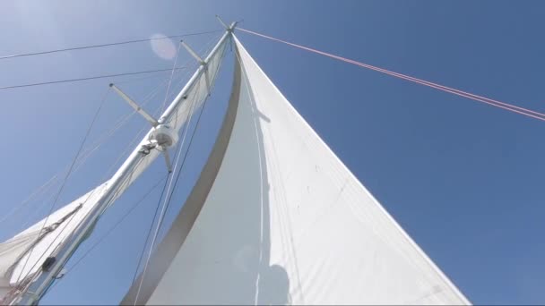 Denizde Güneşli Bir Günde Yelkenli Bir Teknede Yukarı Bakıyorum — Stok video