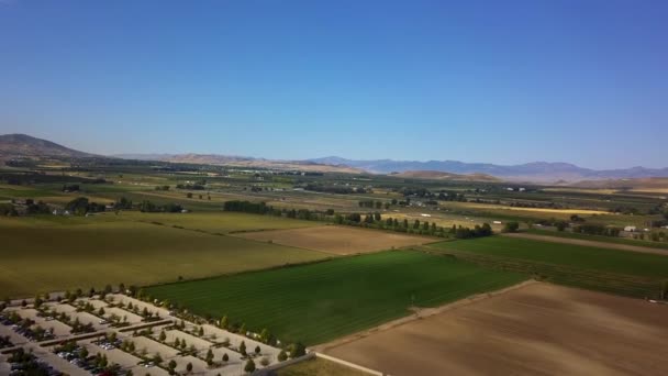 Aerial Drone Shot Green Yellow Square Crop Plots Farmland Payson — Vídeos de Stock