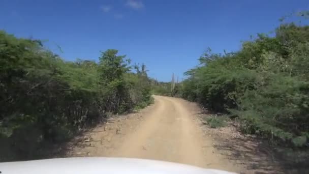 Carretera Estrecha Tierra Con Cactus — Vídeo de stock