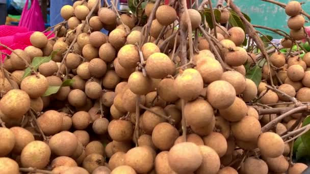 Fotos Cerca Una Fruta Longan Exhibición — Vídeos de Stock