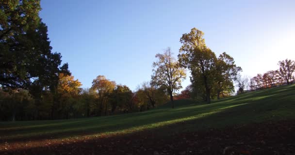 Prachtige Herfst Taban Park Heuvel Van Boeda Boedapest — Stockvideo