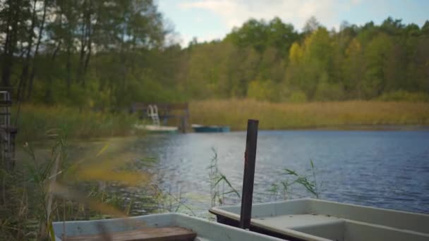 Detail Záběr Jezero Rákosím Žebřík Koupání Zeleným Lesem Pozadí — Stock video
