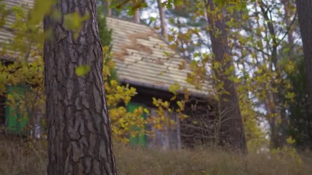 Cabana Floresta Folhas Verdes Amarelas Nas Árvores Nesta Floresta Outono — Vídeo de Stock
