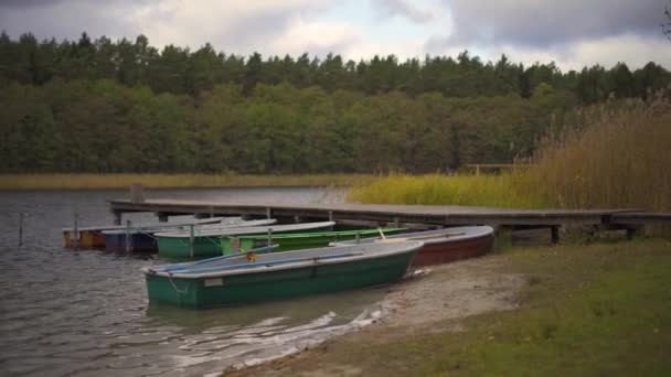 背景に緑の森のある湖の隣のピアにそびえる水の中のパドルボートやカヌーの詳細ショット — ストック動画