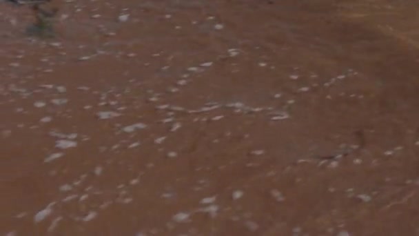 Pei Red Sand Beach Com Água Salpicante Algas Marinhas — Vídeo de Stock