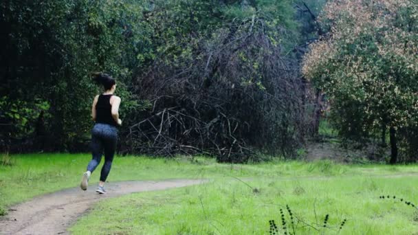 Athletic Brunette Woman Runs Away Green Forest Dirt Path Rain — Stock Video