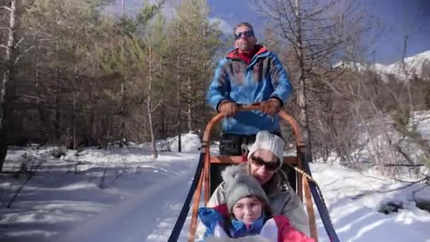Woman Cute Young Girl Riding Dogsled Being Pulled Winter Snow Video Clip
