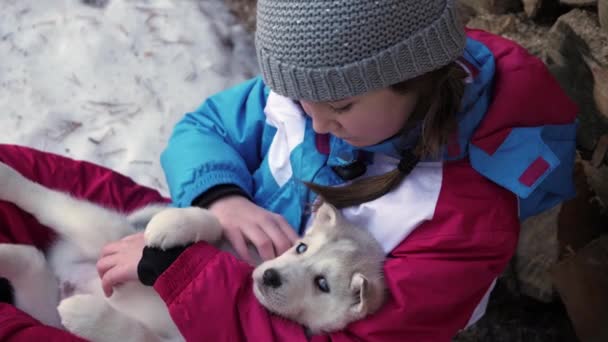 Dívka s novým mazlíček husky štěně mazlit jeho bílou srst v chladném zimním sněhu.