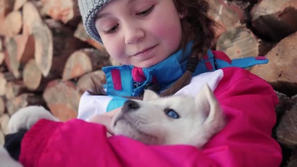 Husky Szczeniak Białym Futerkiem Niebieskie Oczy Ramionach Cute Młoda Dziewczyna — Wideo stockowe