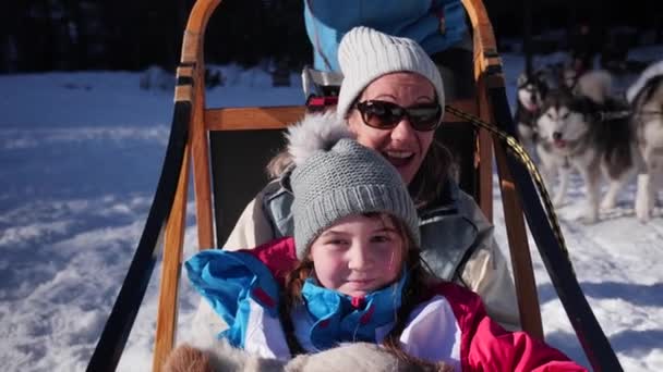 一位母亲和她的小女孩笑着 带着一群哈士奇雪橇狗在雪地里嬉闹着 — 图库视频影像