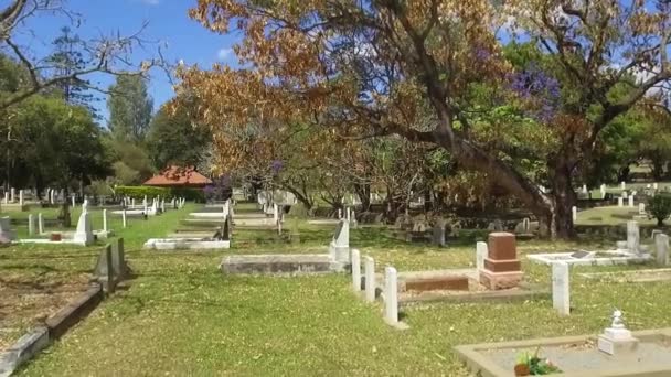 低空低空无人驾驶飞机从坟墓上空向树飞去 — 图库视频影像