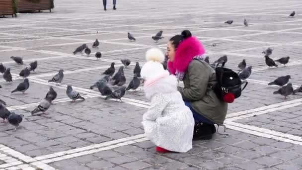 Young Mother Daughter Feeding Pigeons Middle Brasov City Romania Stock Video