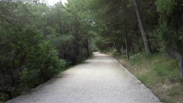 Chemin Sur Parc Marjan Split Croatie — Video