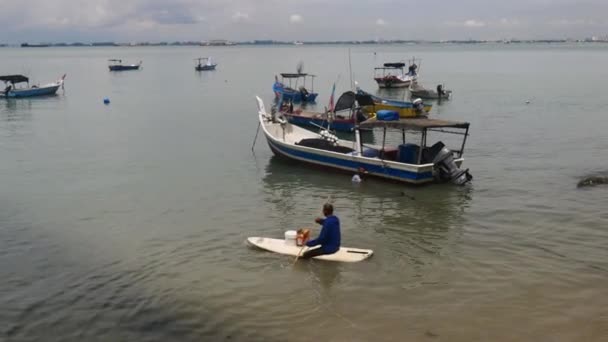 Uccelli Becco Aperto Asiatici Che Volano Una Risaia Aperta Bukit — Video Stock