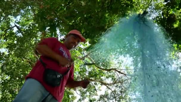 Oiseaux Bec Ouvert Asie Volant Dans Une Rizière Ouverte Bukit — Video