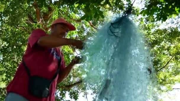 Uccelli Becco Aperto Asiatici Che Volano Una Risaia Aperta Bukit — Video Stock