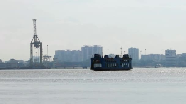 Asijské Openbill Ptáků Létání Otevřeném Rýžovém Poli Bukit Mertajam Penang — Stock video