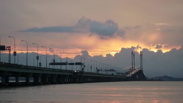 Asijské Openbill Ptáků Létání Otevřeném Rýžovém Poli Bukit Mertajam Penang — Stock video