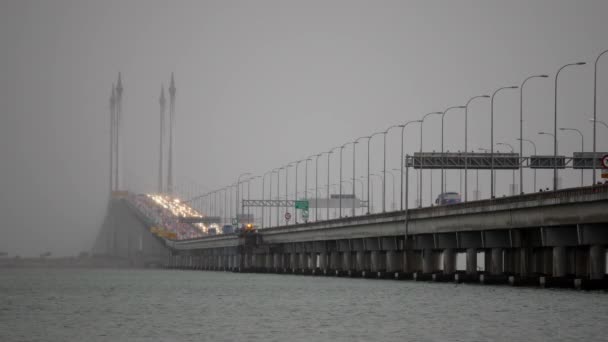 Asijské Openbill Ptáků Létání Otevřeném Rýžovém Poli Bukit Mertajam Penang — Stock video