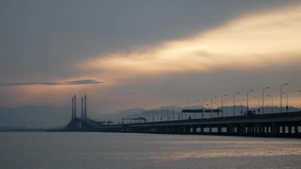 Aziatische Openingsvogels Vliegen Een Open Veld Bukit Mertajam Penang Maleisië — Stockvideo