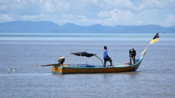 Aziatische Openingsvogels Vliegen Een Open Veld Bukit Mertajam Penang Maleisië — Stockvideo