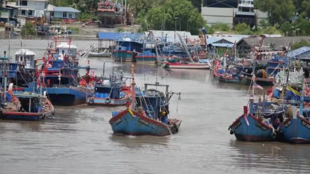 Asijské Openbill Ptáků Létání Otevřeném Rýžovém Poli Bukit Mertajam Penang — Stock video