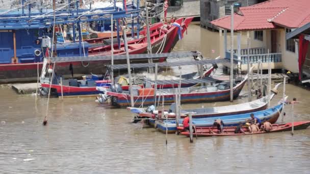 Asijské Openbill Ptáků Létání Otevřeném Rýžovém Poli Bukit Mertajam Penang — Stock video