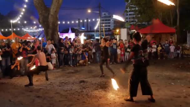 Aziatische Openingsvogels Vliegen Een Open Veld Bukit Mertajam Penang Maleisië — Stockvideo