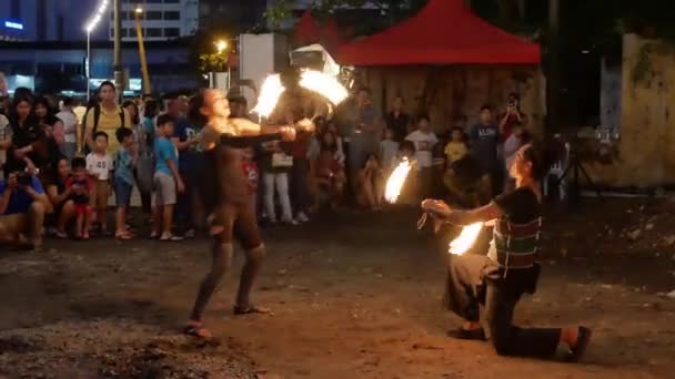 Ázsiai Nyíltvízi Madarak Repkednek Egy Nyitott Rizsföldön Bukit Mertajam Penang — Stock videók